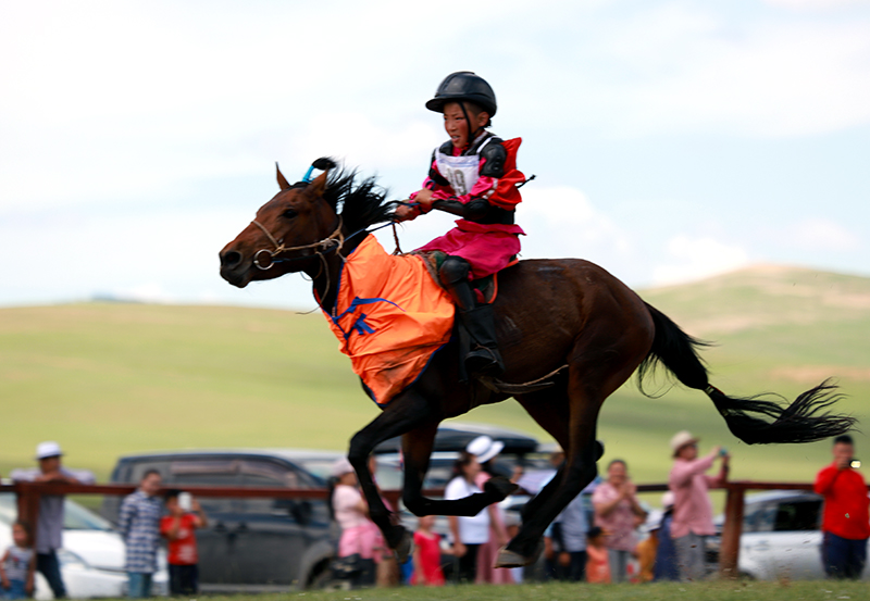 Mongolian horse race